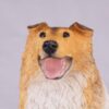 Collie pet dog cremation urn figurine, face