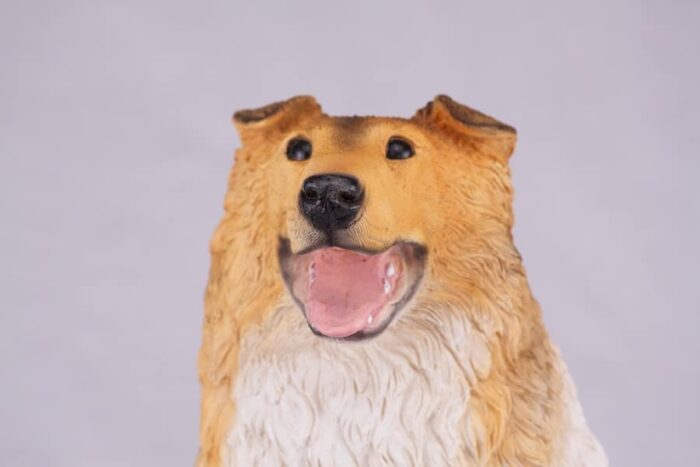 Collie pet dog cremation urn figurine, face