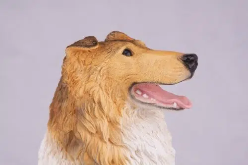 Collie pet dog cremation urn figurine, face
