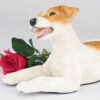 Jack Russell pet dog cremation urn figurine