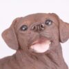 Chocolate Lab Labrador Retriever pet dog cremation urn figurine, face