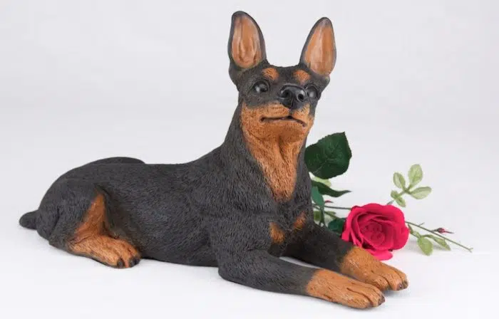 Miniature Pinscher Min Pin pet dog cremation urn figurine