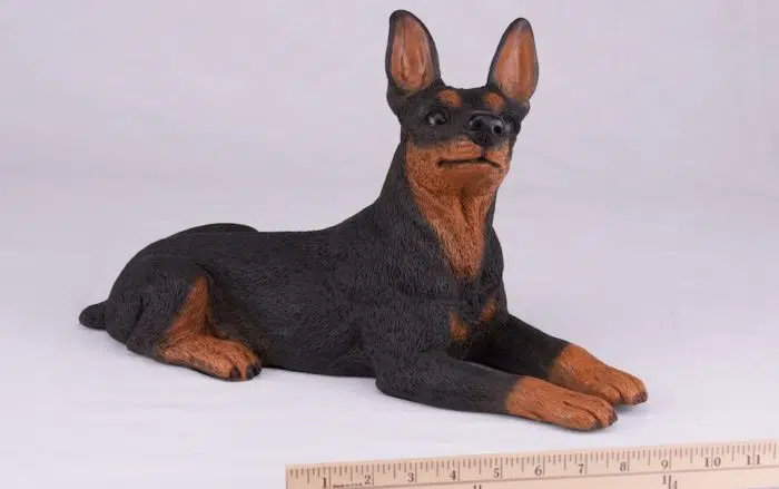 Miniature Pinscher Min Pin pet dog cremation urn figurine, with ruler