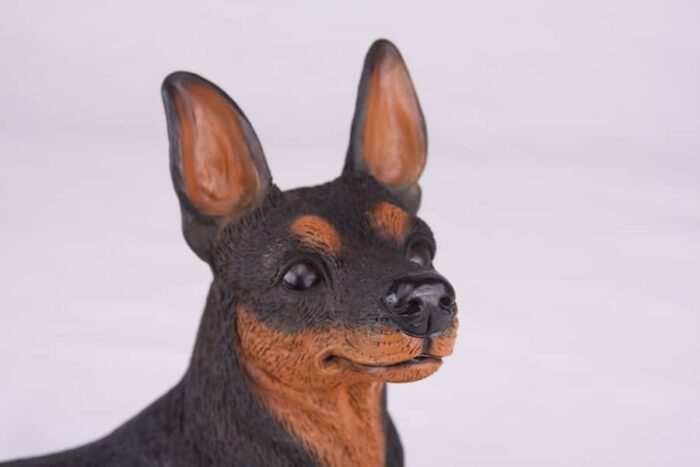 Miniature Pinscher Min Pin pet dog cremation urn figurine, face