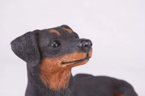 Miniature Pinscher Min Pin pet dog cremation urn figurine, face