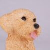 Tan Poodle pet dog cremation urn figurine, face