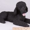 Black Poodle pet dog cremation urn figurine, with ruler