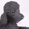 Black Poodle pet dog cremation urn figurine, face