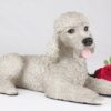 Poodle pet dog cremation urn figurine