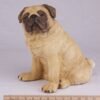 Pug pet dog cremation urn figurine, with ruler