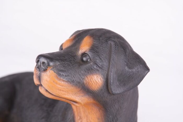 Rottweiler pet dog cremation urn figurine, face