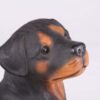 Rottweiler pet dog cremation urn figurine, face