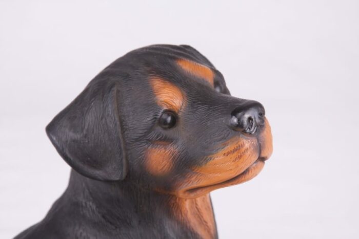 Rottweiler pet dog cremation urn figurine, face