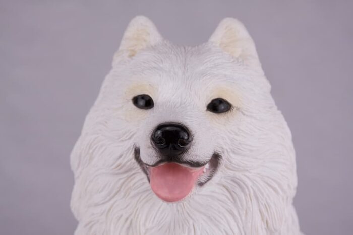 Samoyed pet dog cremation urn figurine, face