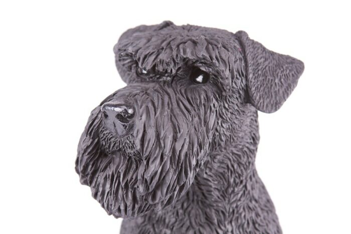 Black Schnauzer pet dog cremation urn figurine, face