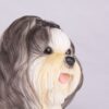 Shih Tzu pet dog cremation urn figurine, face