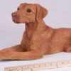 Vizsla pet dog cremation urn figurine, with ruler