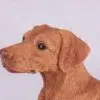 Vizsla pet dog cremation urn figurine, face