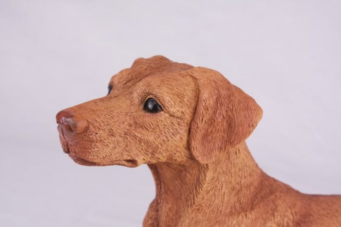 Vizsla pet dog cremation urn figurine, face