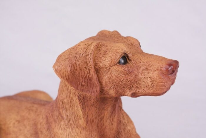 Vizsla pet dog cremation urn figurine, face
