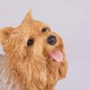 Yorkie Terrier pet dog cremation urn figurine, head
