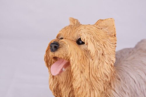 Yorkshire Terrier Yorkie dog cremation urn figurine, face