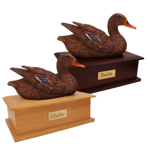 Female mallard duck decoy cremation urn on light & dark ash wood