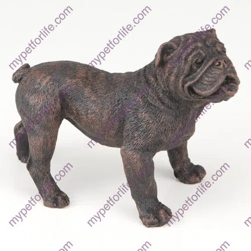 Bronze style dog cremation urn, bulldog