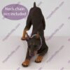 Doberman Pinscher Dog Figurine