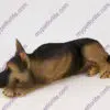 German Shepherd Dog Figurine