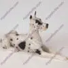 Great Dane Dog Figurine