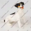 Jack Russell Terrier Dog Figurine