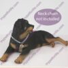 Rottweiler Dog Figurine