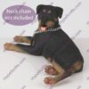 Rottweiler Dog Figurine