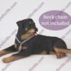 Rottweiler Dog Figurine