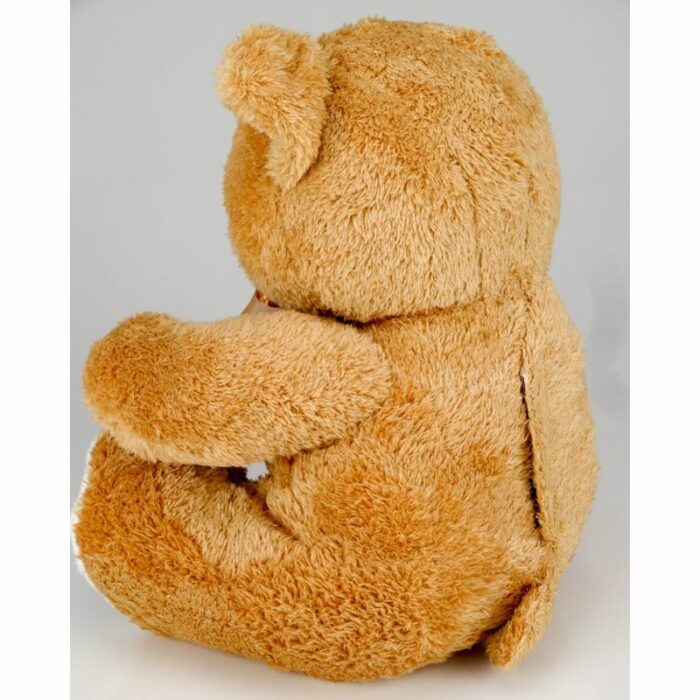 Stuffed teddy bear memorial cremation urn with keepsake heart, back