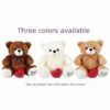 Teddy Bear Keepsake urns - three colors available