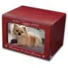 MDF wood memorial pet photo urn, cherry finish, engraved, gold fill