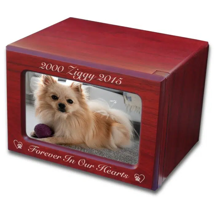 MDF wood memorial pet photo urn, cherry finish, engraved, gold fill