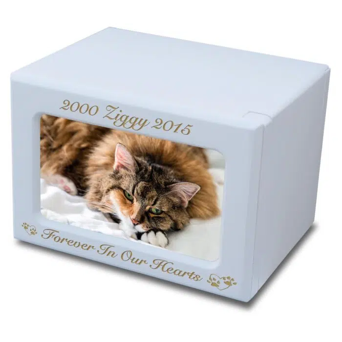 MDF wood memorial pet photo urn, white finish, engraved, gold fill