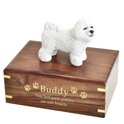 Bichon Frise dog figurine memorial cremation urn, medium with engraved wood, gold fill