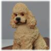 Sport cut apricot poodle dog figurine, showing detail