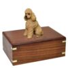 Sport cut apricot poodle dog pet memorial cremation urn