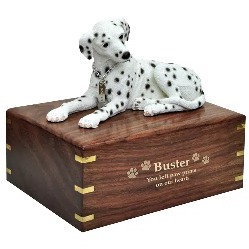 Laying Dalmatian dog figurine memorial cremation urn, engraved wood, gold fill