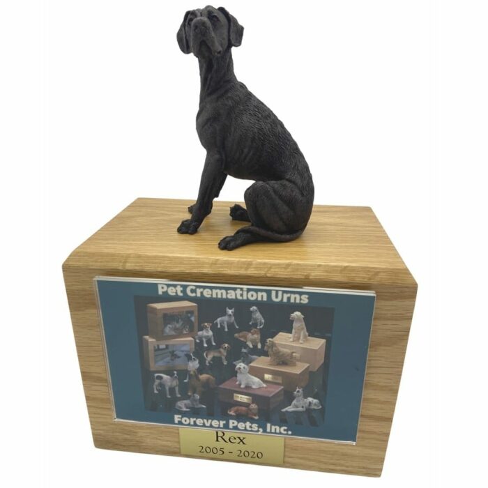 Bronze look great dane dog figurine atop wood memorial photo holder cremation urn