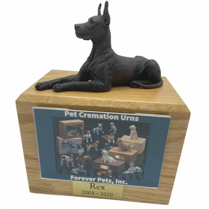 Bronze look great dane dog figurine atop wood memorial photo holder cremation urn