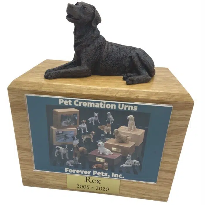 Bronze look Labrador Retriever dog figurine atop wood memorial photo holder cremation urn