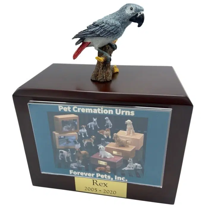 African Gray parrot bird photo holder memorial cremation urn