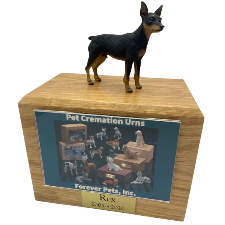 Miniature Pinscher MyPetForLife pet memorials