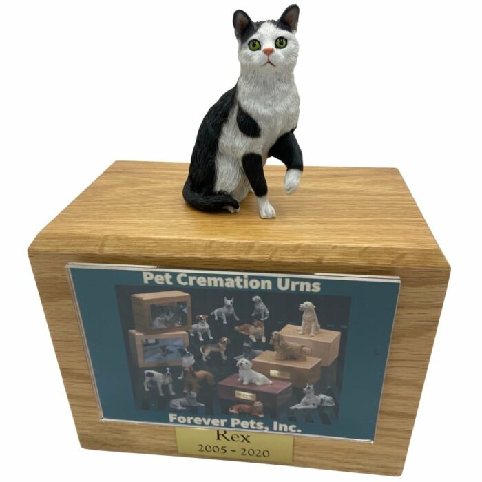 Black white sitting shorthaired cat photo holder memorial cremation urn